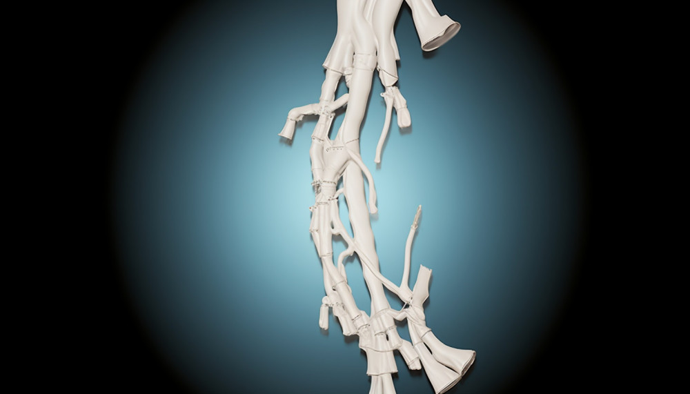 Divers - Tout savoir sur l’utérus contractile